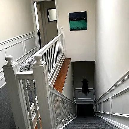 3rd image of 1650 W Grace St APT 4
