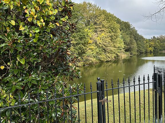 Lake view from backyard