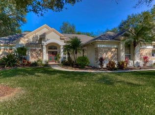 6030 Audubon Manor Blvd, Lithia, FL 33547