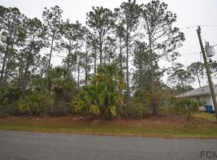 19 Pine Cottage Ln, Palm Coast, FL 32164