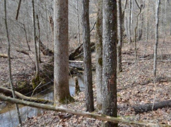 5th image of 0 Boles Rd