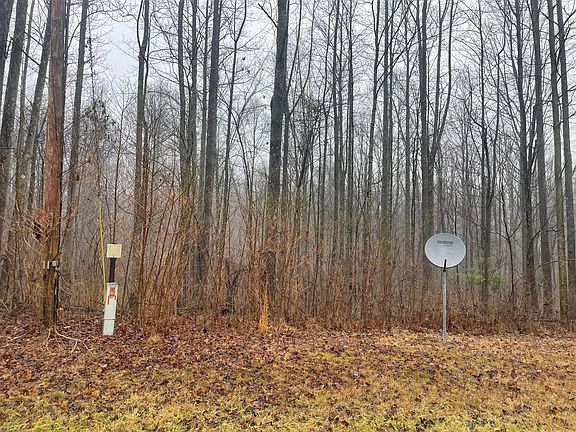 3rd image of 12161 Goldenrod Ln