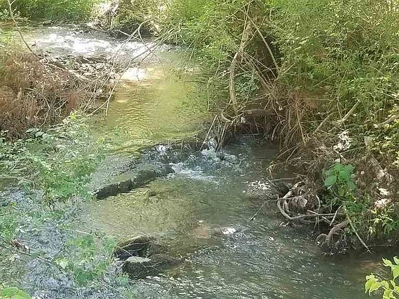 4th image of Howerton Dr