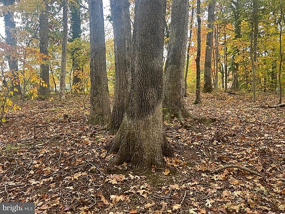 3rd image of Bock Rd