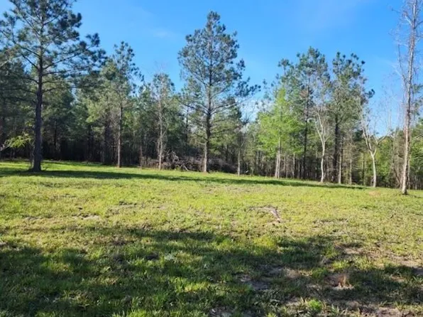 205 Ervin Cotton Rd, Eros, LA 71238