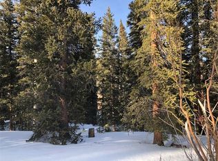701 Gold Pan Ln, Fairplay, CO 80440