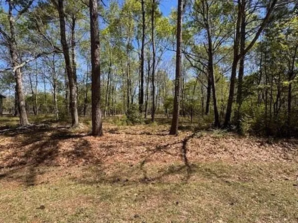 90 S Pine Harbour Dr, Coldspring, TX 77331