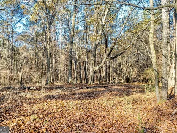 1483 Muddy Branch Rd, Canon, GA 30520