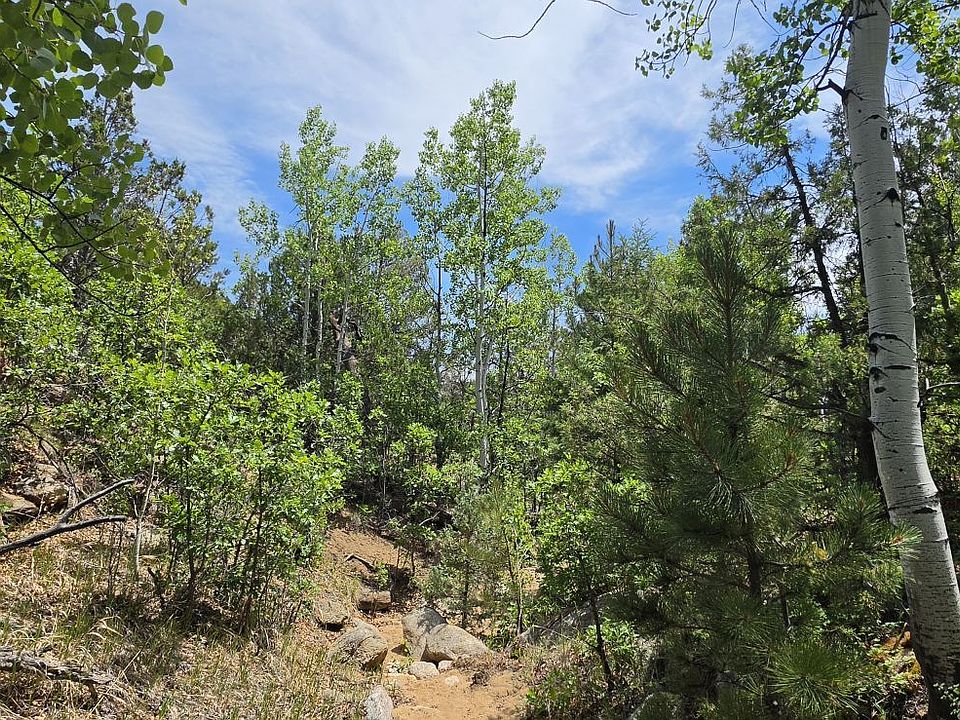 1st image of L Bird Point Dr