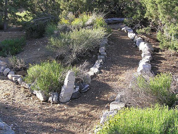 walking path