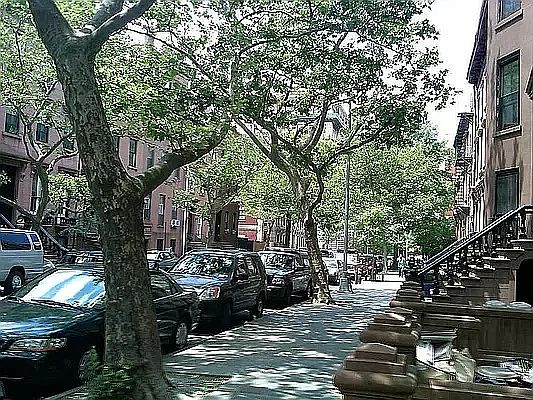 1st image of 147 Amity St APT 9