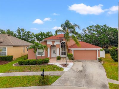 18005 Palm Breeze Dr, Tampa, FL, 33647