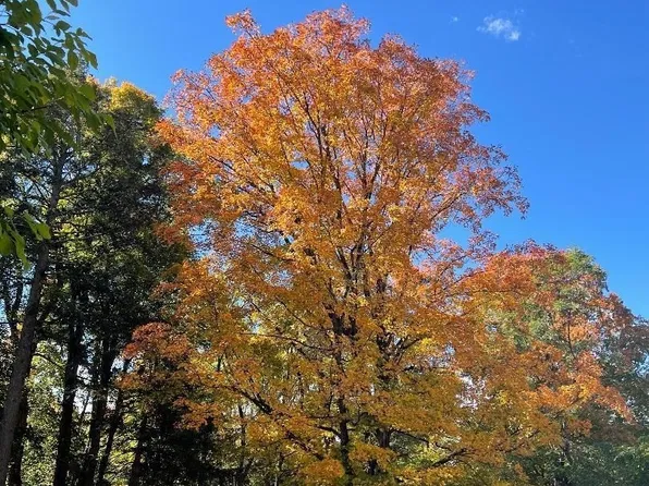6 Church St, West Boylston, MA 01583
