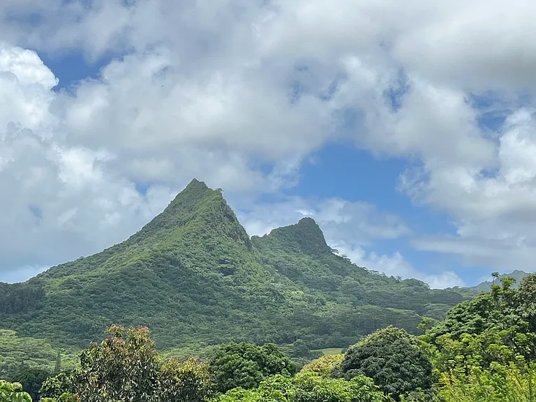 1054A Auloa Rd #1 — Photo 32
