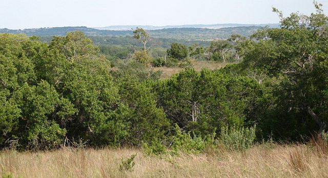 1st image of LOT 124 Lynx Cv