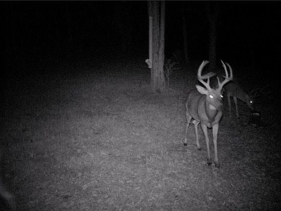 5th image of 3387 Butler Rd
