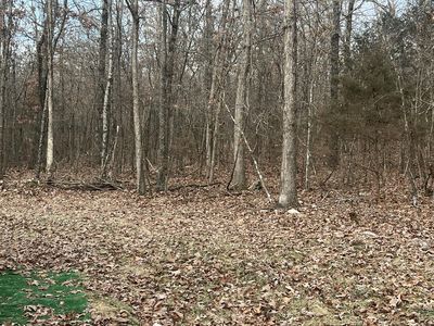 2249 County Road 359, Thayer, MO, 65791