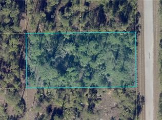 21 Hines Ave, Lehigh Acres, FL 33936