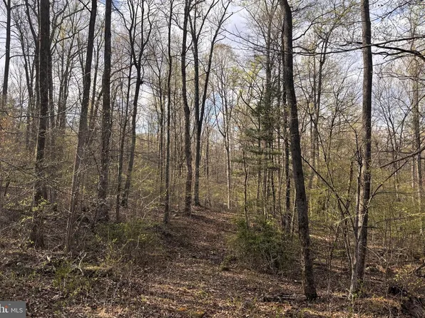 Padua Ln, Sperryville, VA 22740