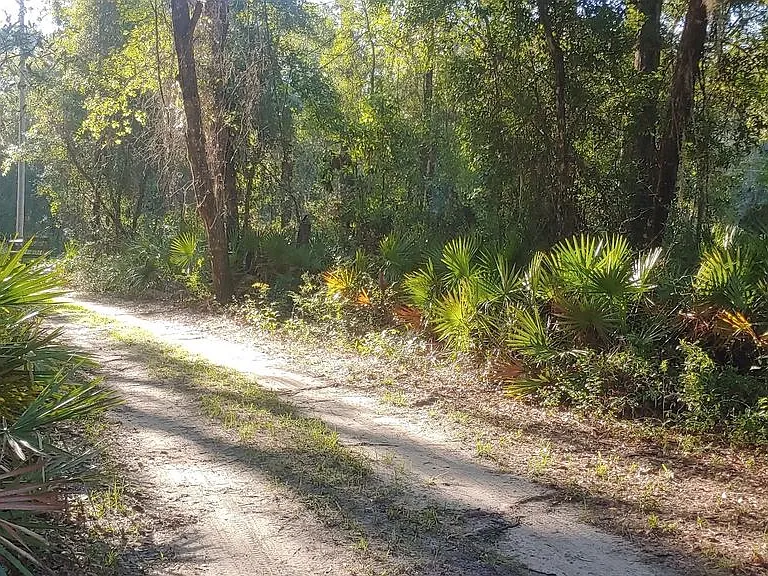 804 NE County Road 234 — Photo 10