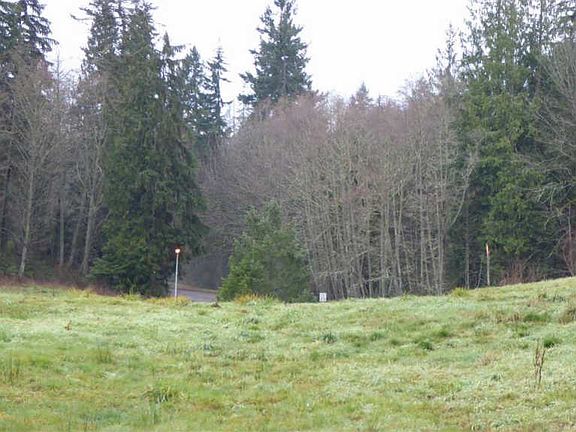 4th image of S Delguzzi Lot 4