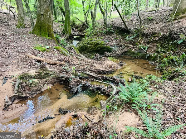 0 Moriah Church Rd, Colbert, GA 30628