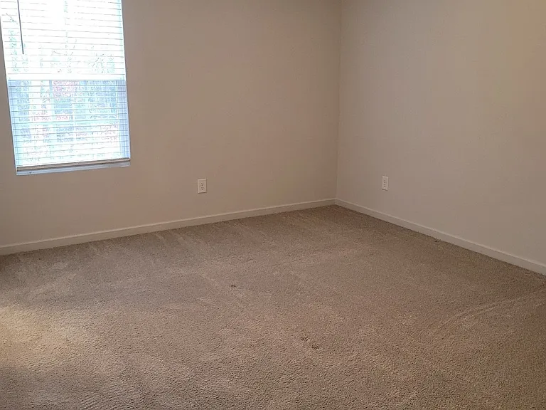 3417 Slippery Elm Dr — Photo 20