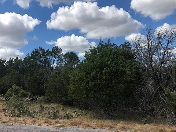 2nd image of 503 Appaloosa
