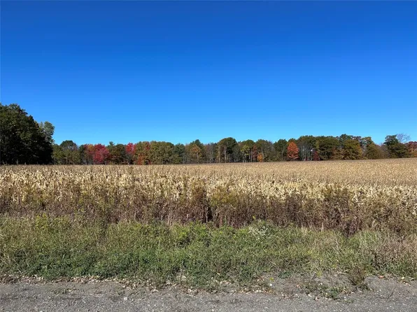 126A Del Mauro Rd, Candor, NY 13743