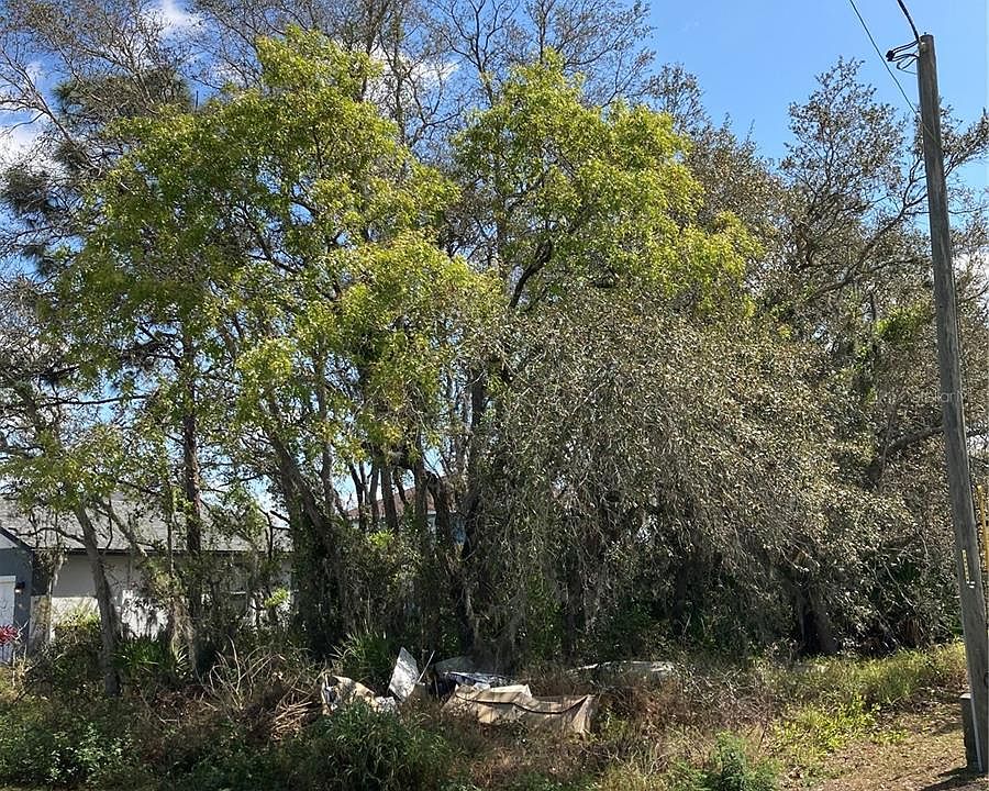 2nd image of 304 Drum Ct