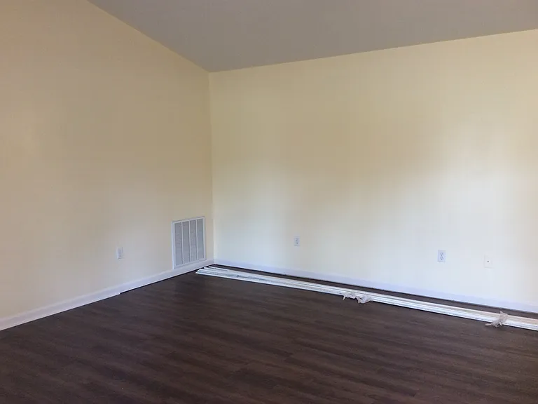 223 Sunny Gap Rd — Photo 6