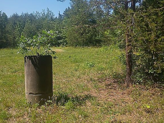 3rd image of 054-A- 11