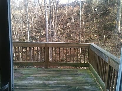 5th image of 14 Black Bear Ct