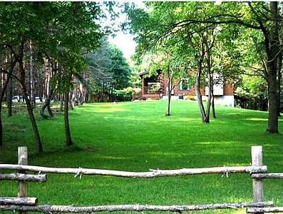 3rd image of 859 Spruce Hollow Dr