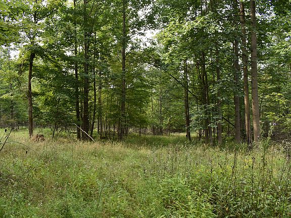 4th image of Sunback Rd