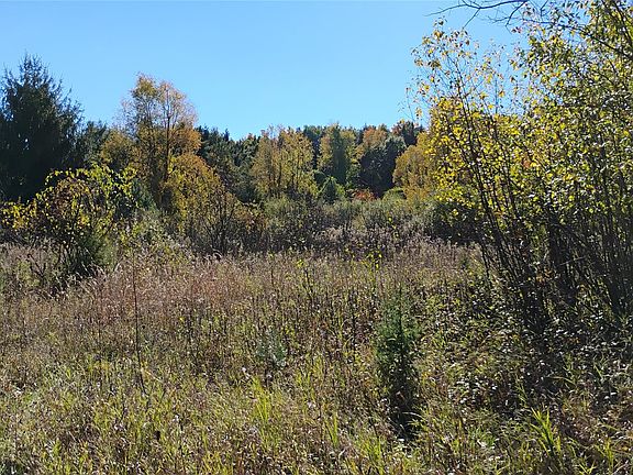2nd image of 0 Middle Rd