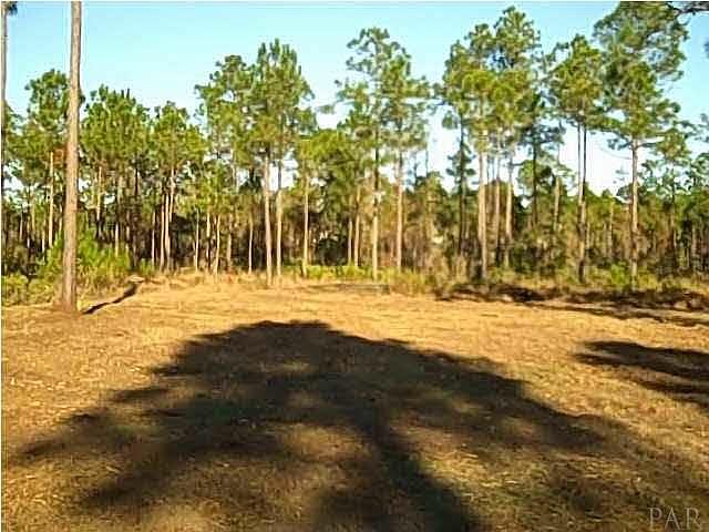 1st image of 13004 Island Spirit Dr