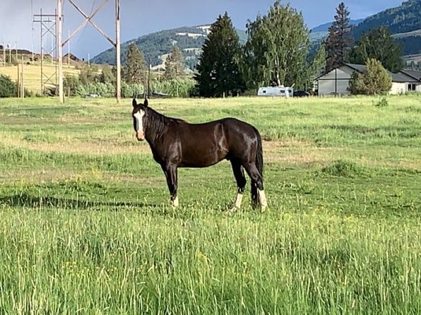 222 N Bear Creek Rd, Wallowa, OR 97885
