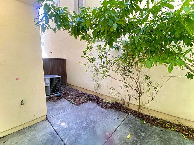 559 Palo Verde Cmns — Photo 7