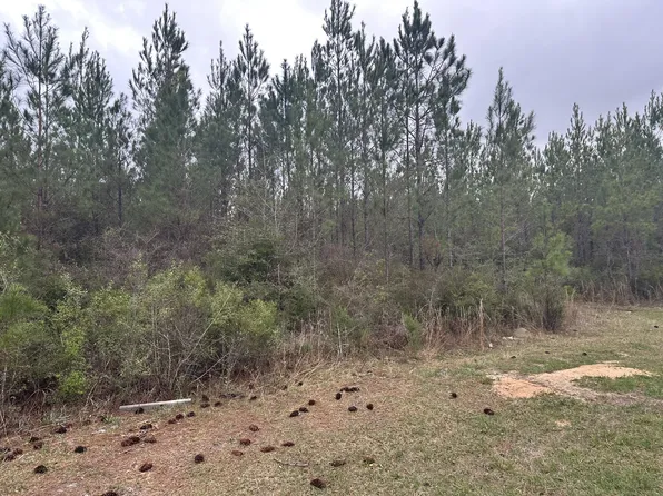TRACT 6431 SE Parrish Still Rd, Vernon, FL 32462