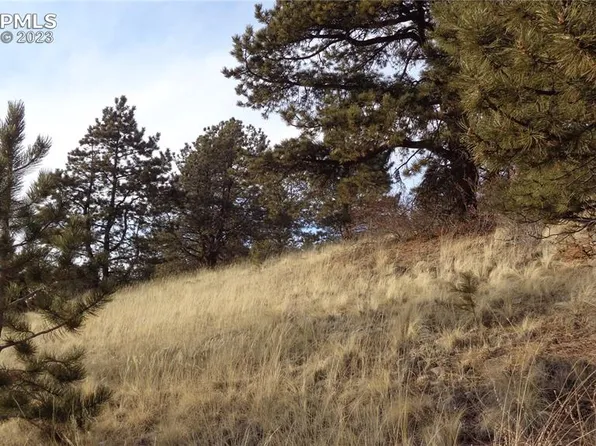 1217 Copper Mountain Dr, Cripple Creek, CO 80813