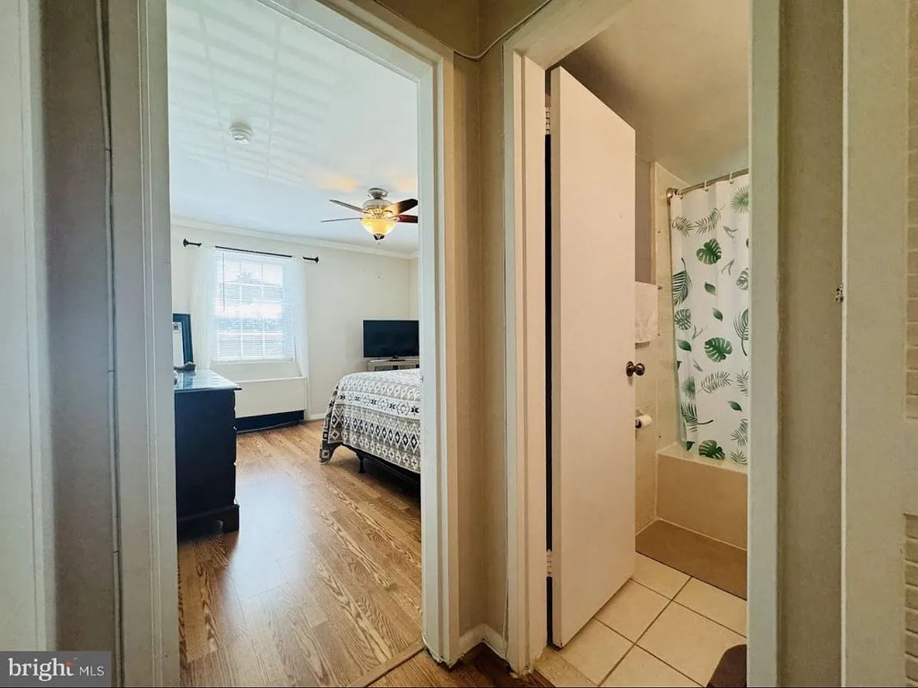1 bed, 583 sqft, $2,000 — Photo 4