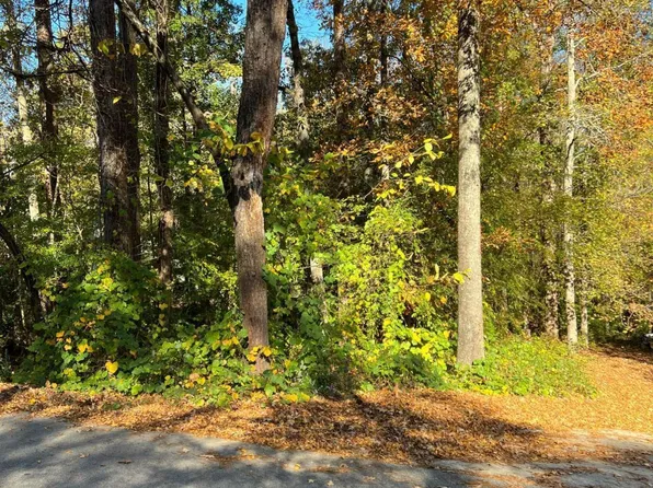 130 Valley Dr, Stockbridge, GA 30281