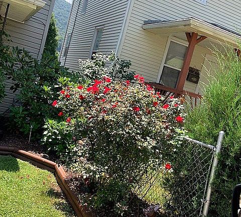 3rd image of 611 Alleghany St
