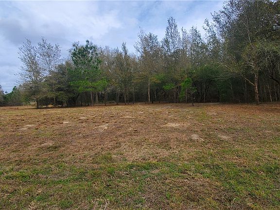 3rd image of 941 E Dellbrook Ln