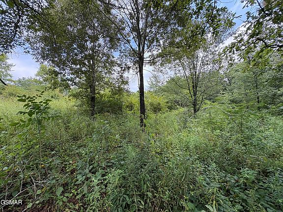 3rd image of 3 Midway Rd