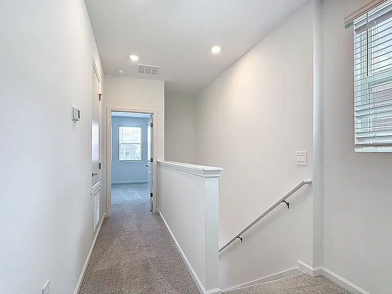 2433 Spring Tune Aly — Photo 21