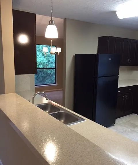 Raised Bar Area