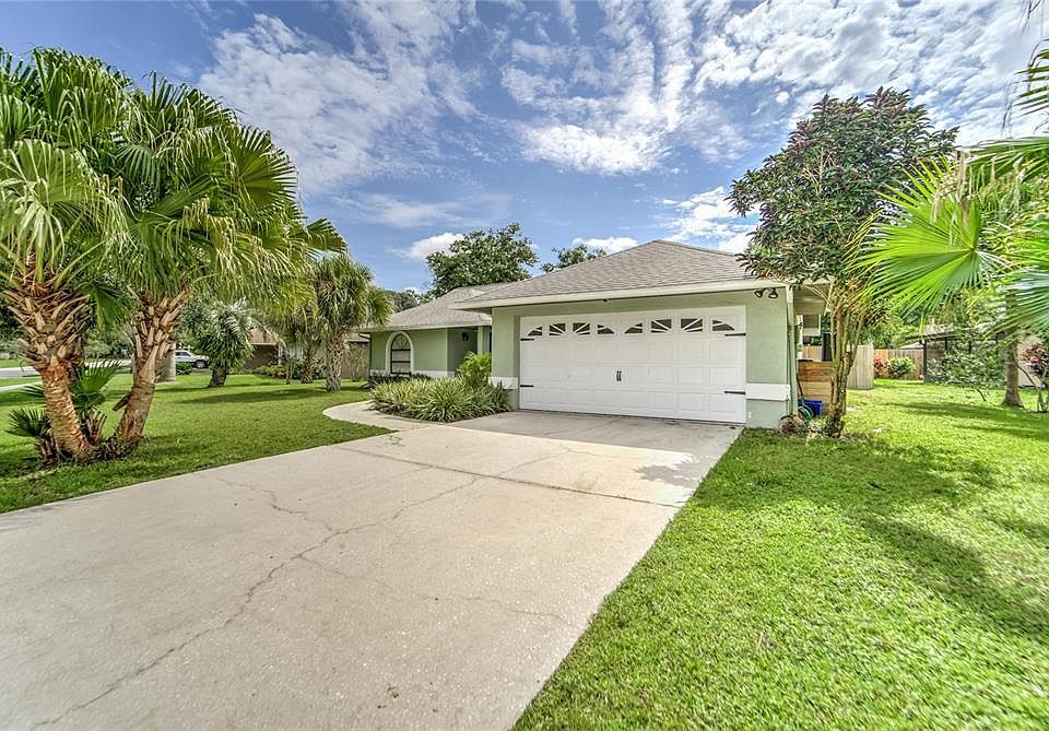 1 sandalwood tree price picture