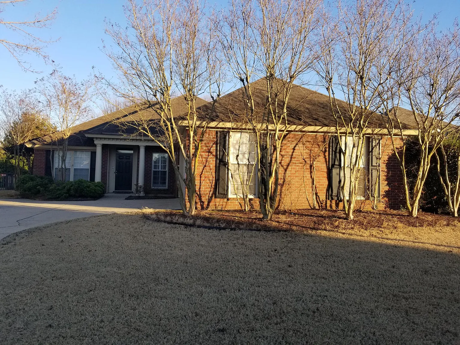 9437 Broadleaf Dr — Photo 2
